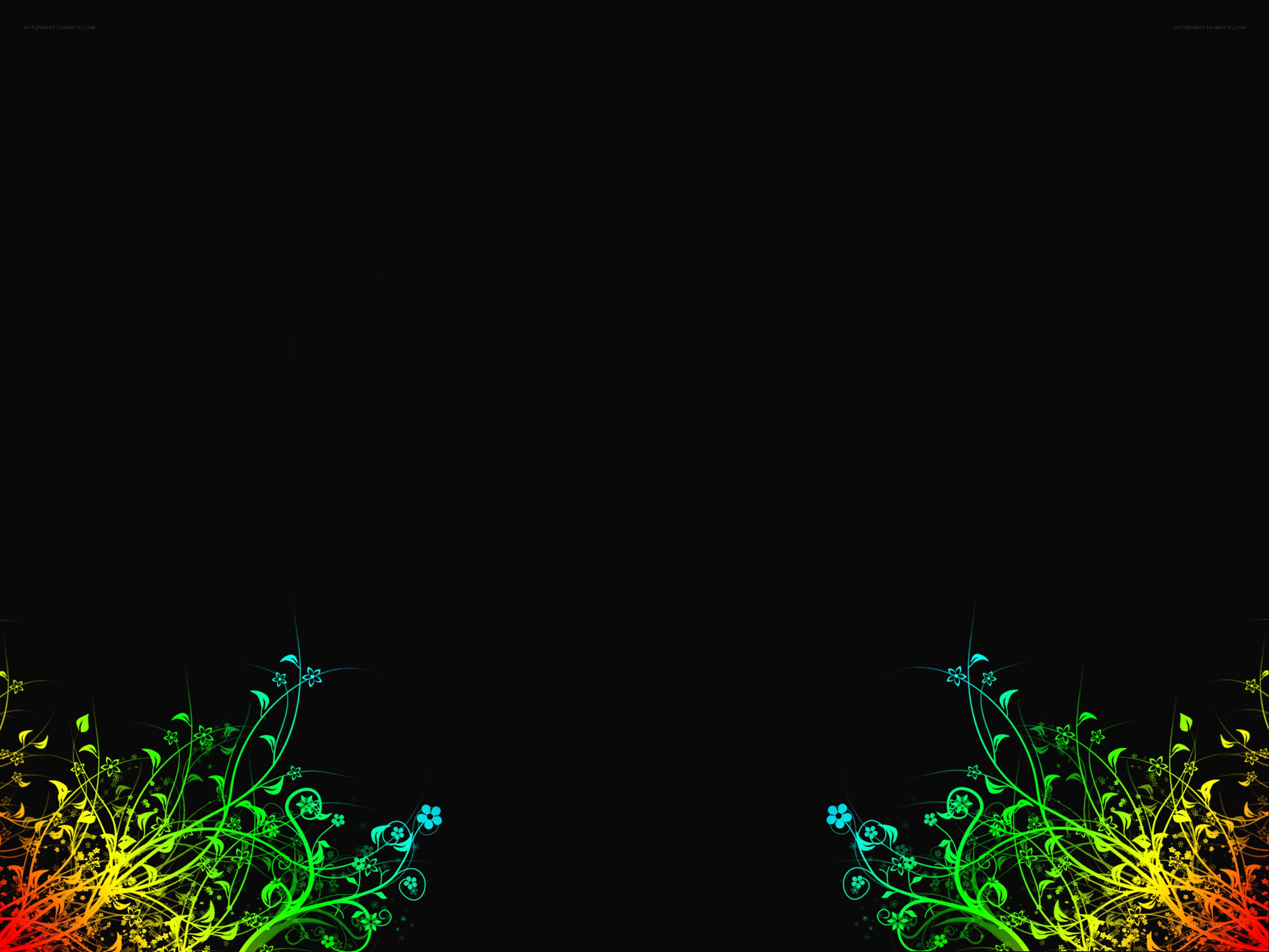 rainbow floral design