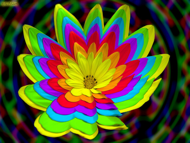 Rainbow flower art