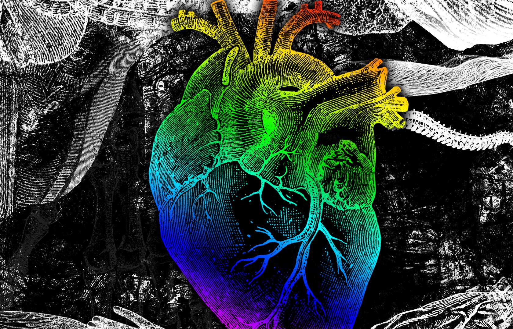 Rainbow heart illustration