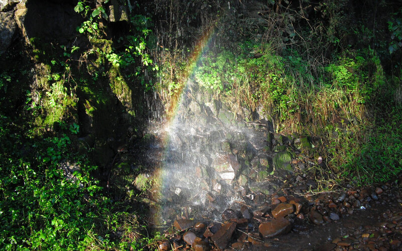 Rainbow in a forest waterfall
