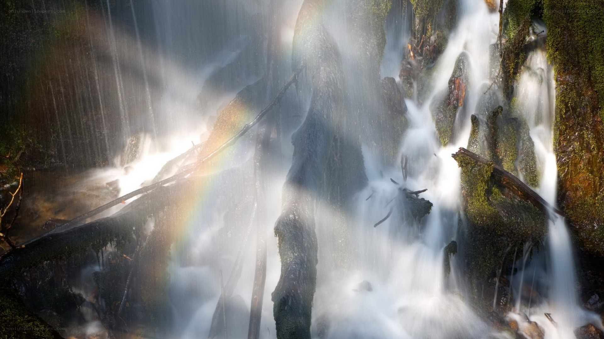 Rainbow in a forest waterfall