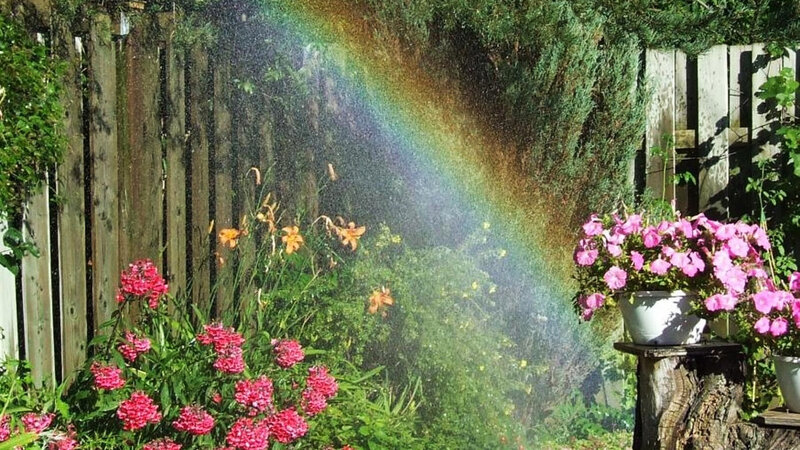 Rainbow in Garden