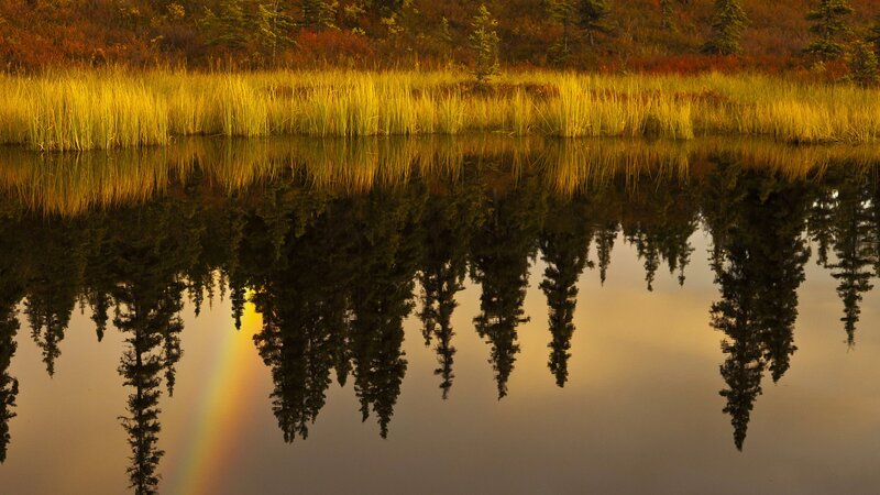 Rainbow in Lake Reflection — Yellow, Serene, Sunset