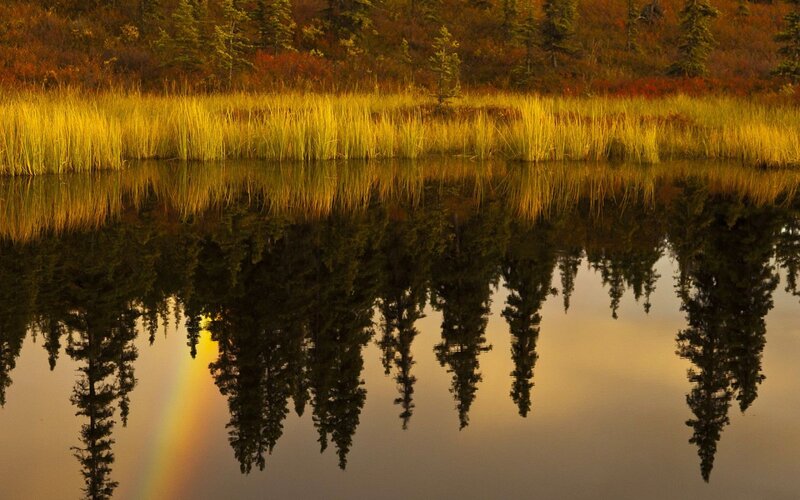 Rainbow in Lake Reflection — Yellow