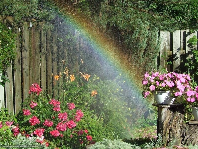 Rainbow in the garden