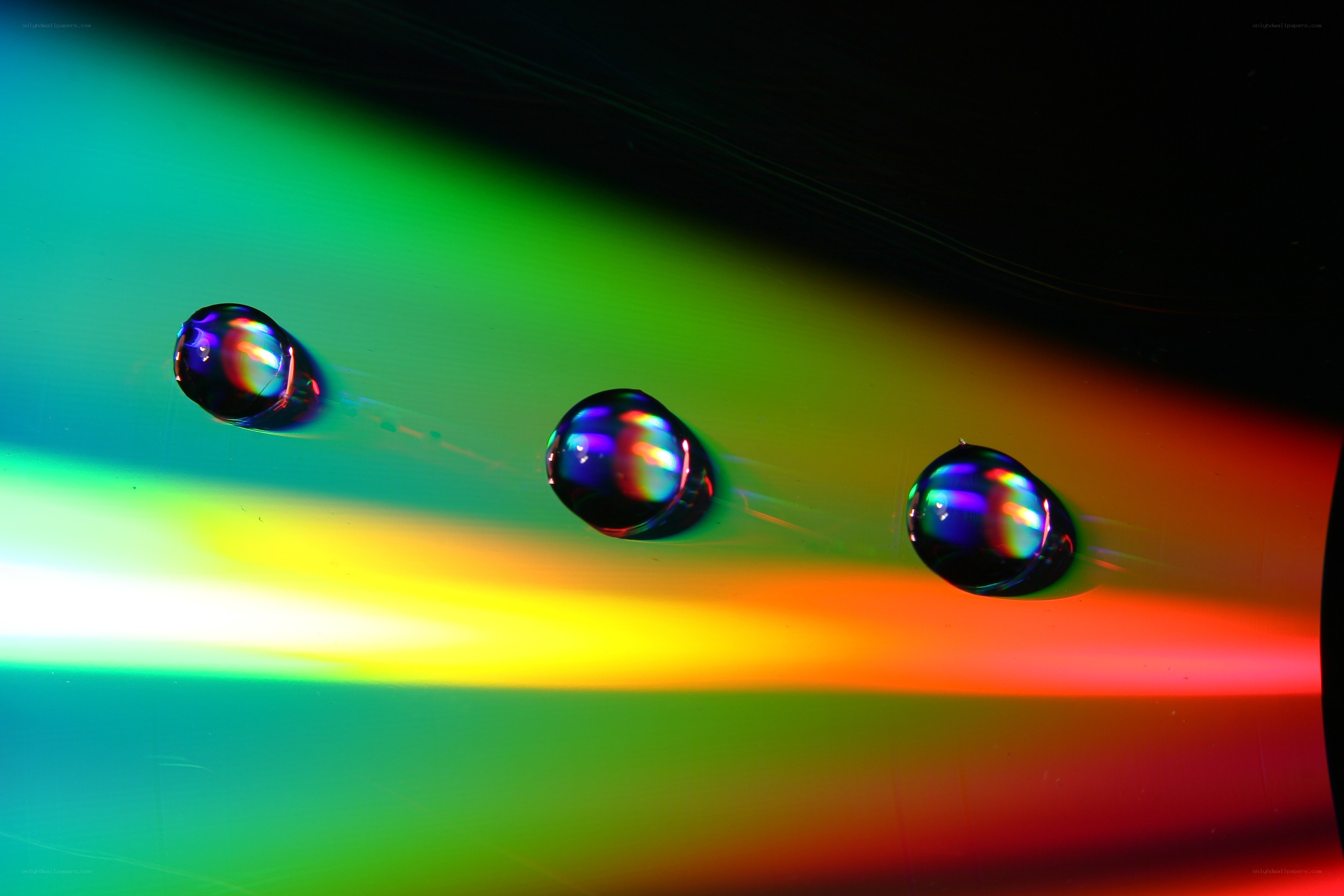 Rainbow light on water droplets