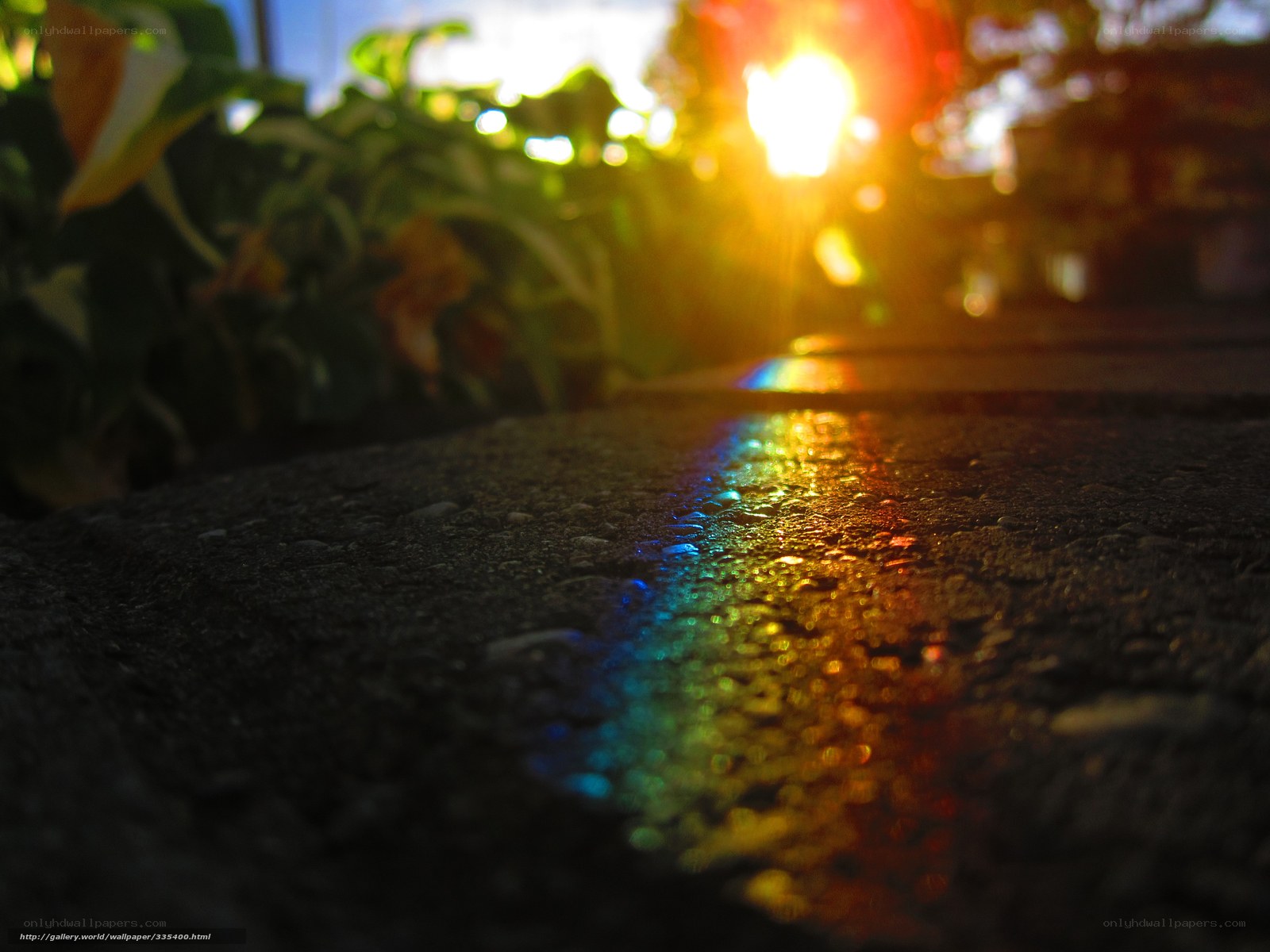 rainbow light on wet pavement