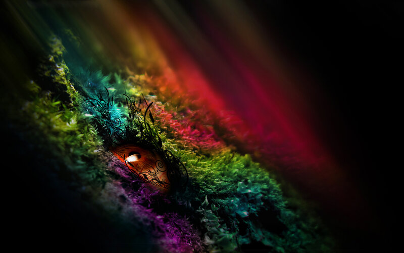 rainbow light through moss