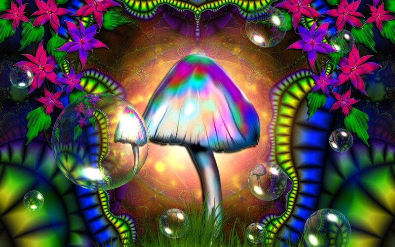 Rainbow Mushroom in Garden
