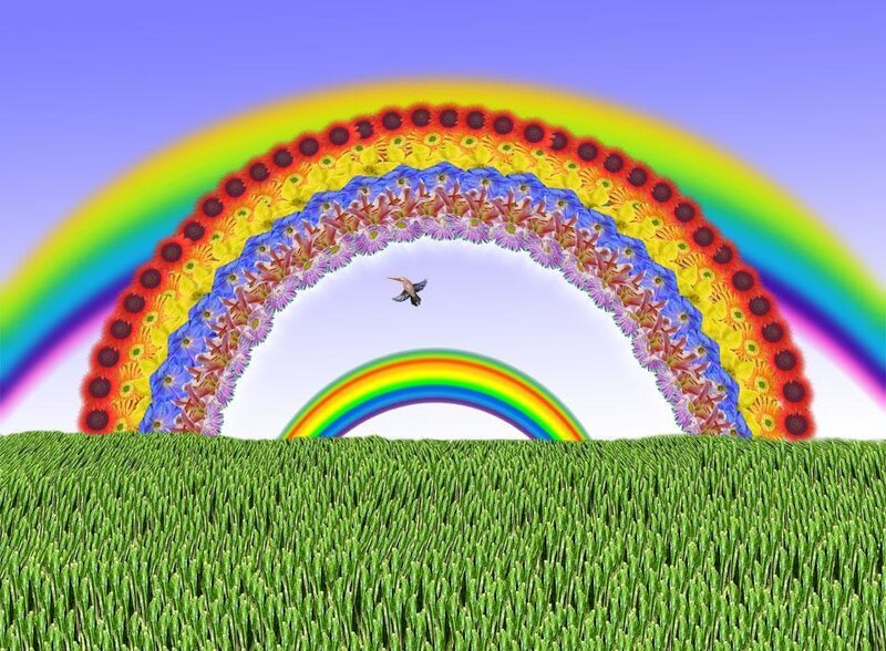 Rainbow of flowers in a field
