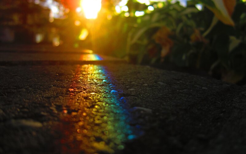 rainbow on wet pavement