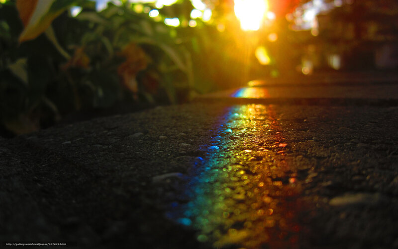 rainbow on wet pavement
