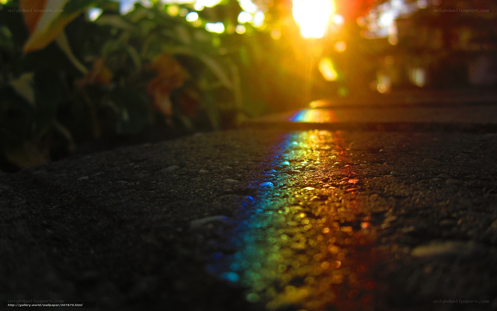 rainbow on wet pavement