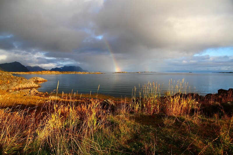 Rainbow over a coastal fjord