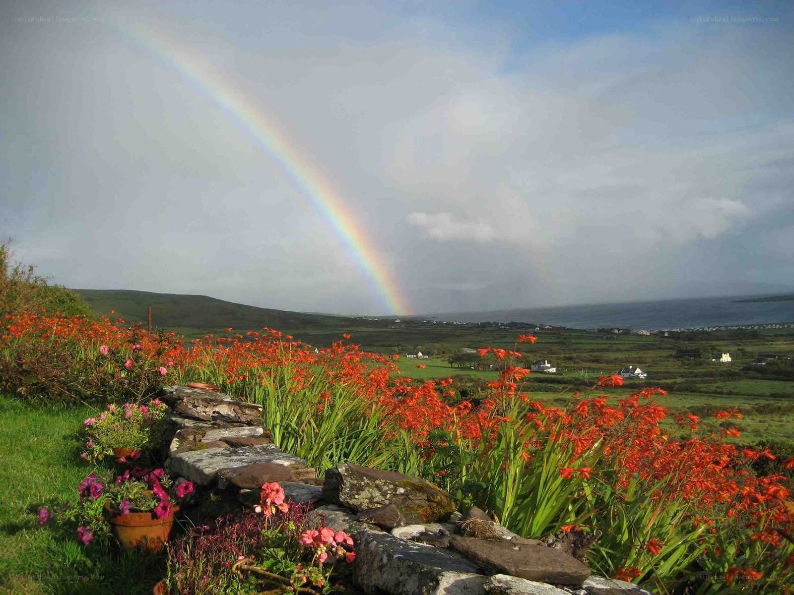 Rainbow over a coastal garden