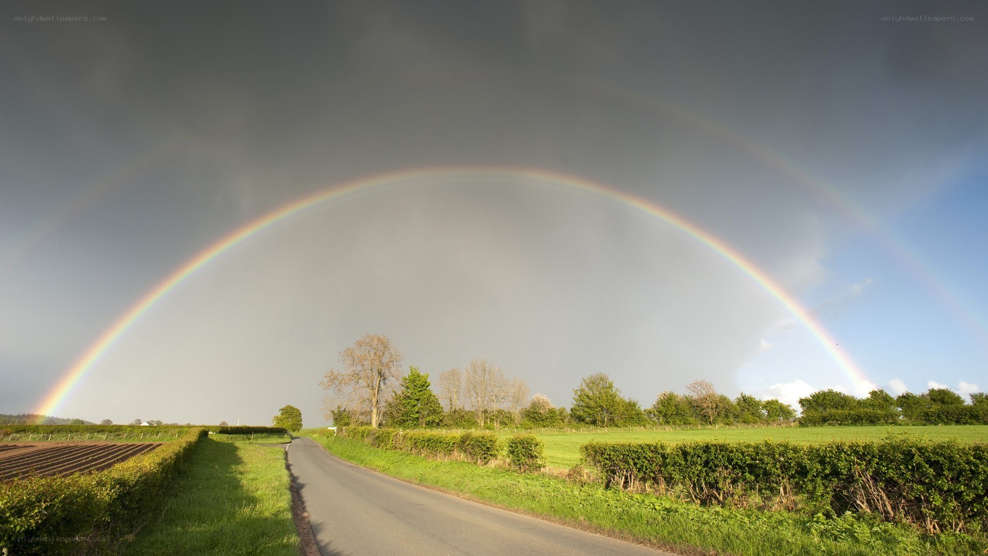 Rainbow over a country road