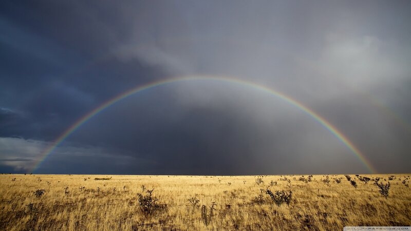 Rainbow over a desert field