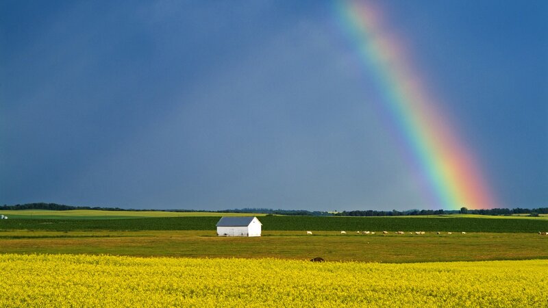 Rainbow over a farm field