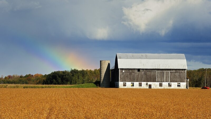 Rainbow over a farm field