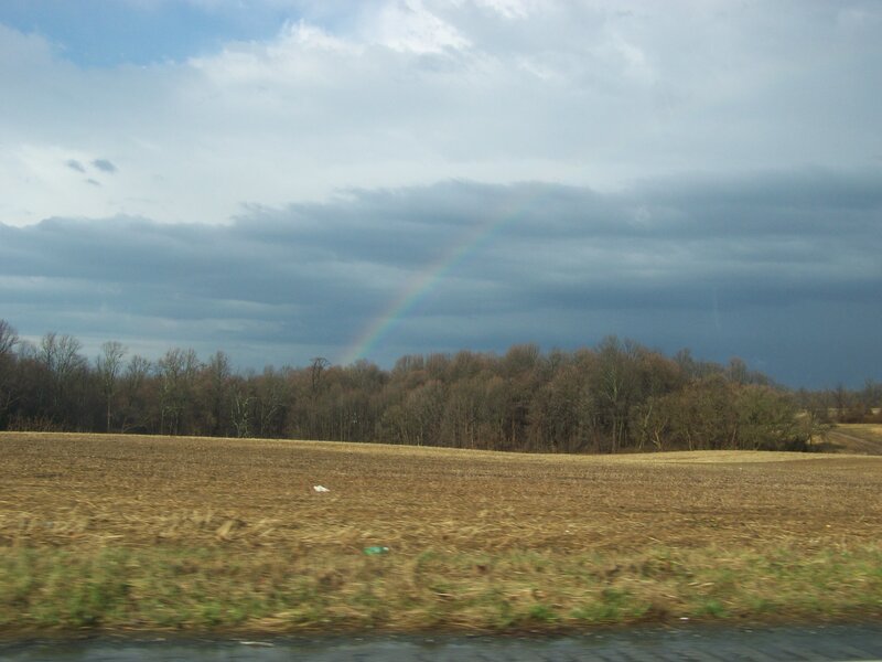 Rainbow over a field