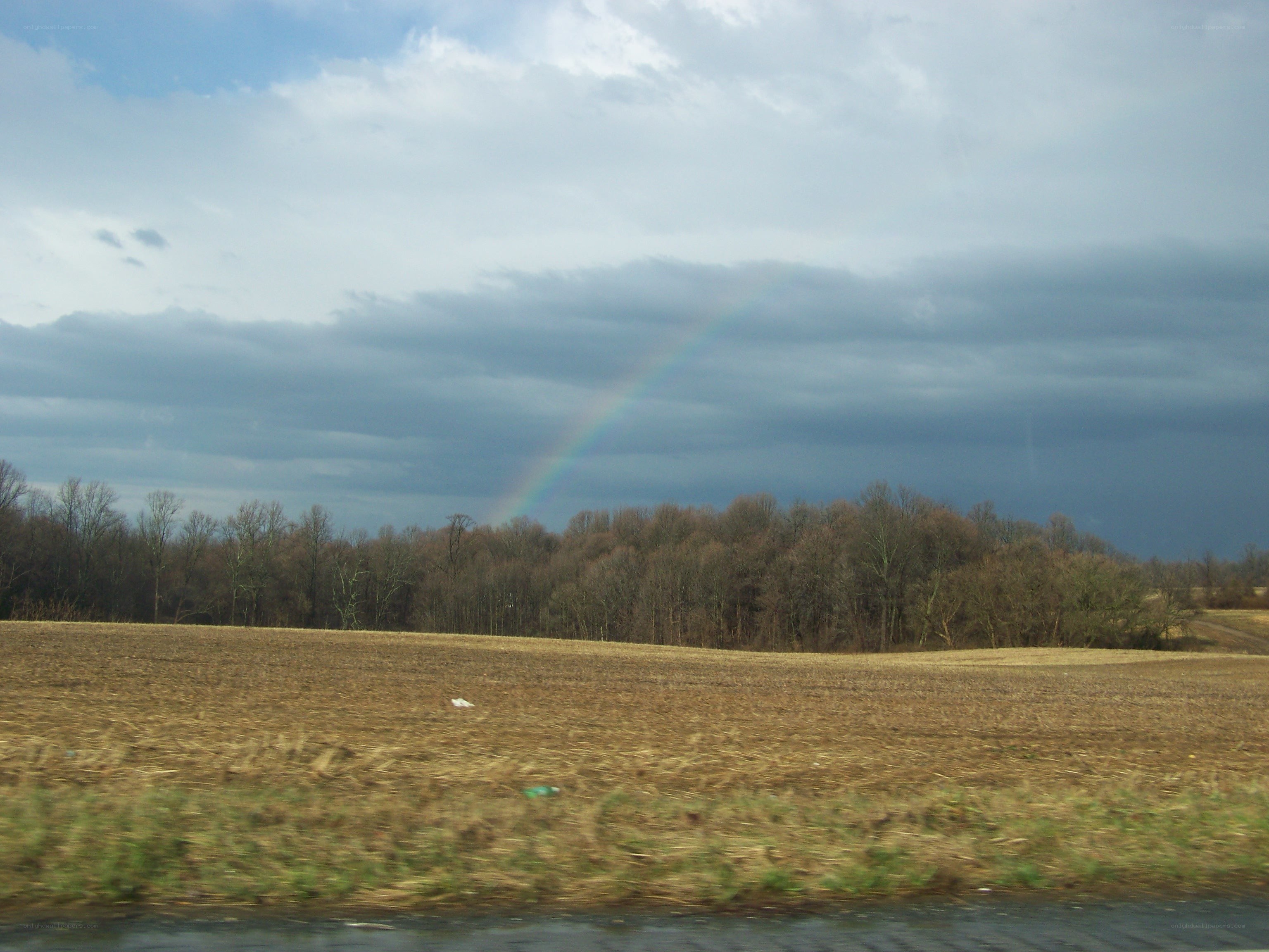 Rainbow over a field