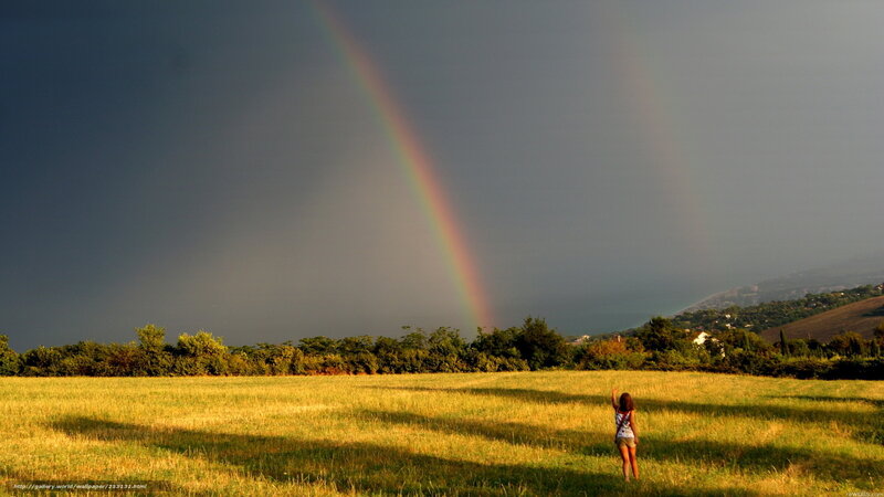 Rainbow over a field