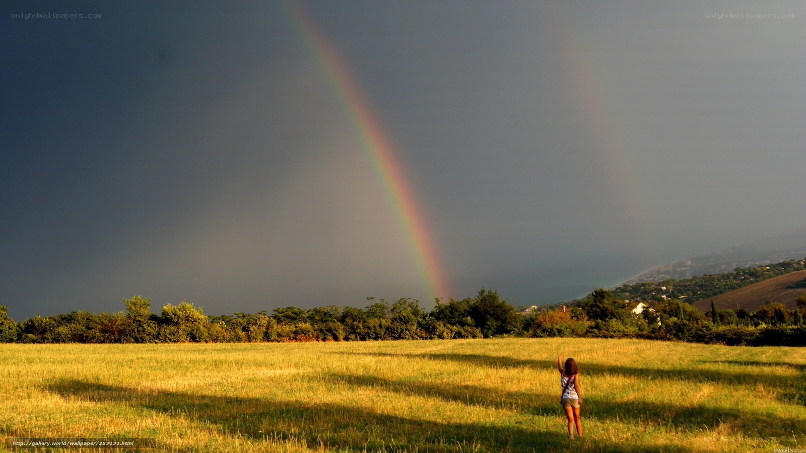 Rainbow over a field