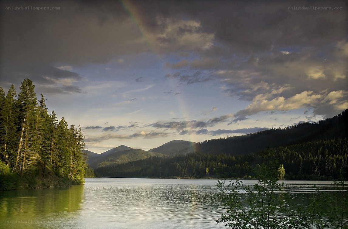 Rainbow over a forest lake