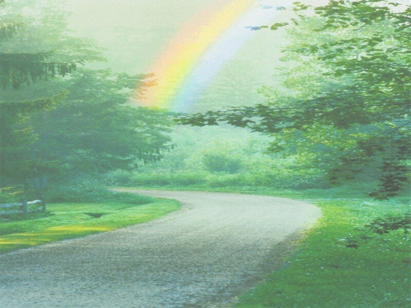 Rainbow over a forest path