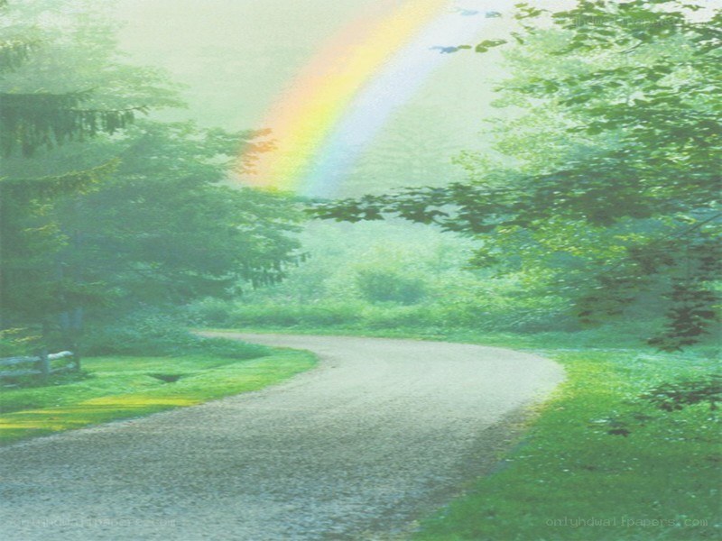 Rainbow over a forest path