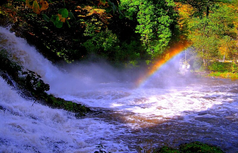 Rainbow over a forest waterfall