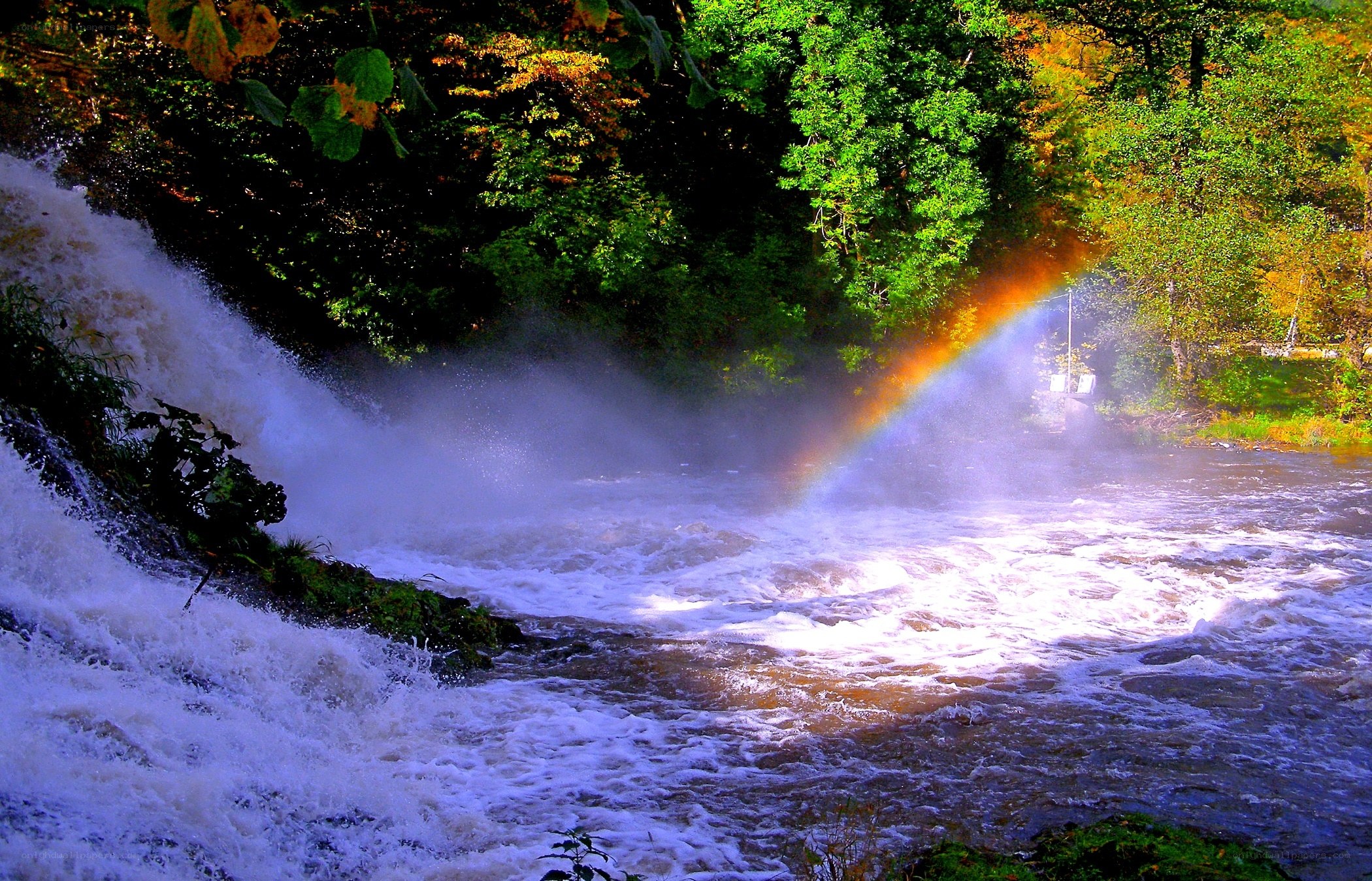 Rainbow over a forest waterfall