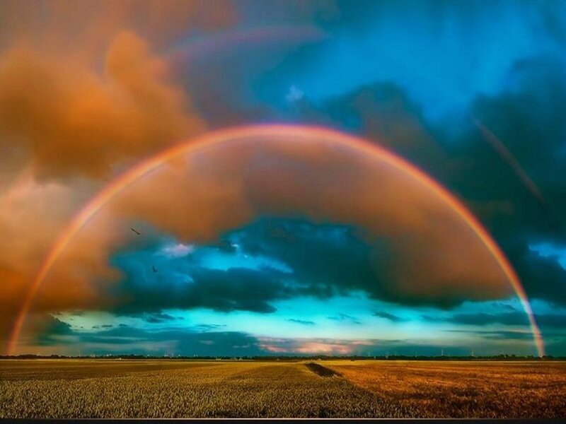 Rainbow over a golden field