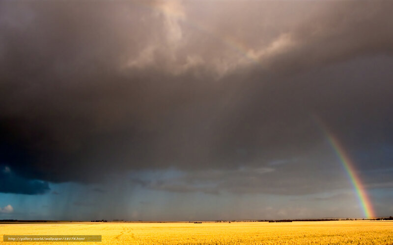 Rainbow over a golden field