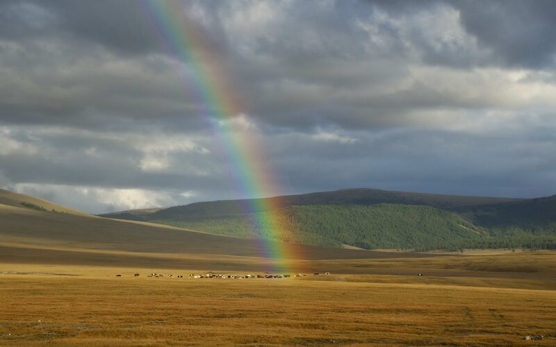Rainbow over a grassland