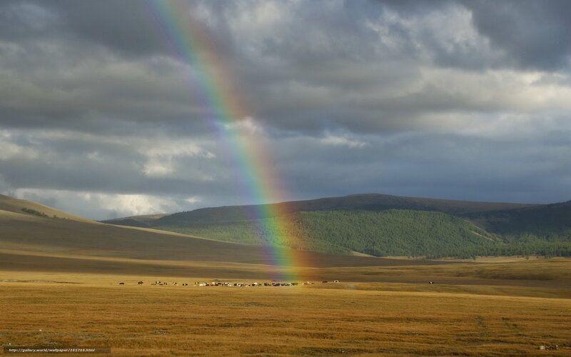 Rainbow over a grassland