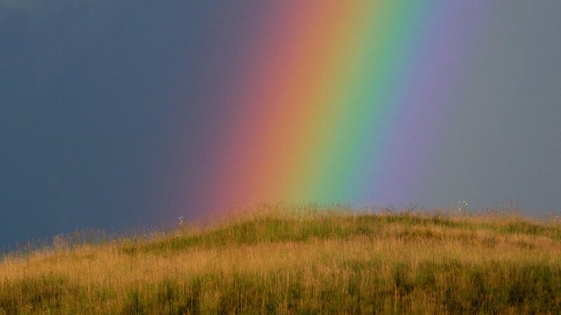 Rainbow over a grassy hill