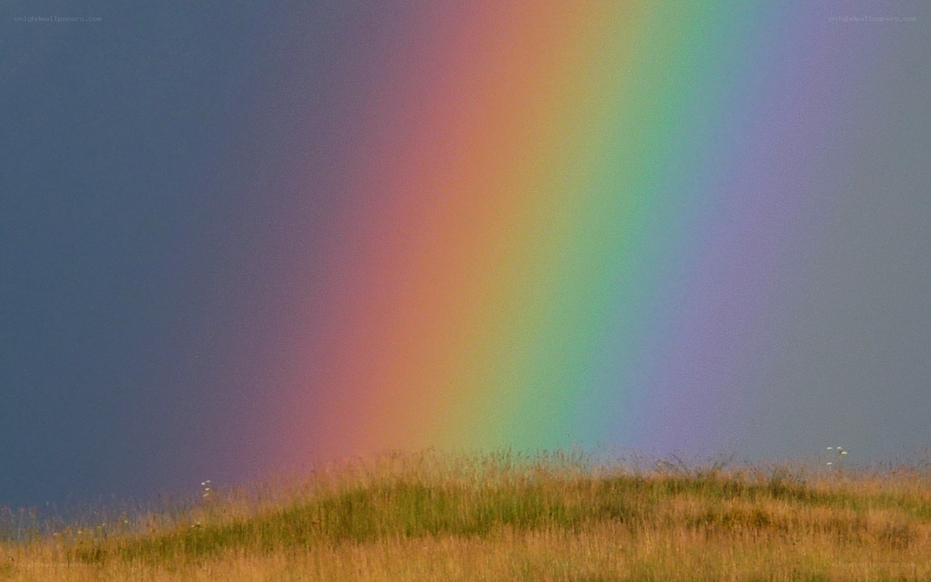 Rainbow over a grassy hill