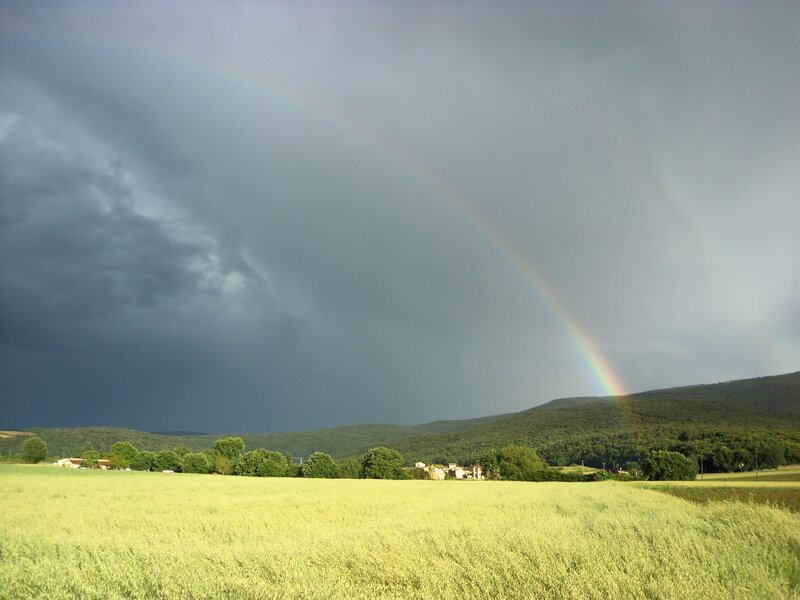 Rainbow over a green field