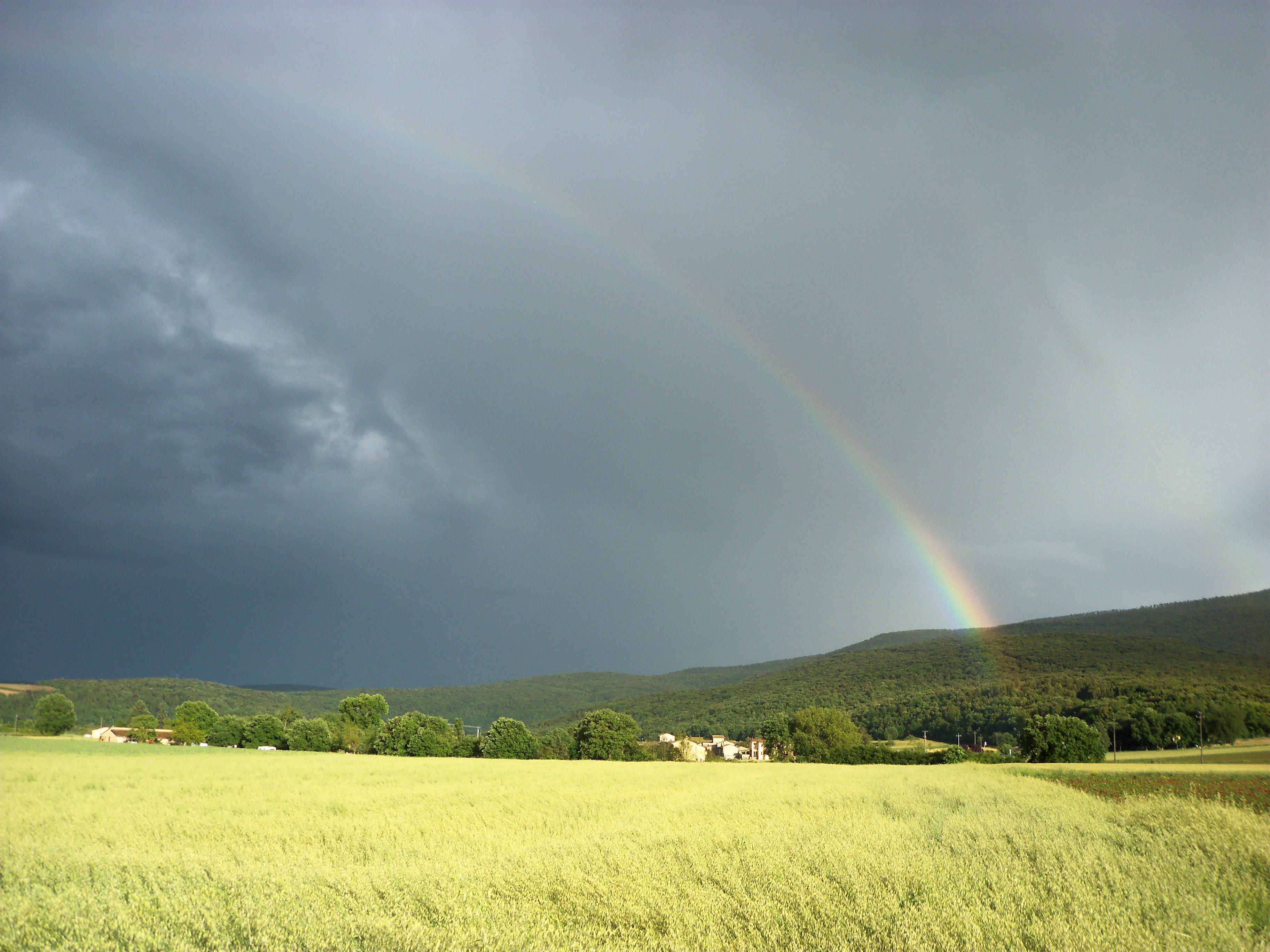 Rainbow over a green field