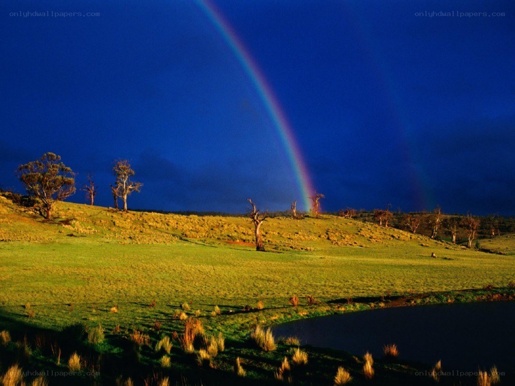 Rainbow over a green field