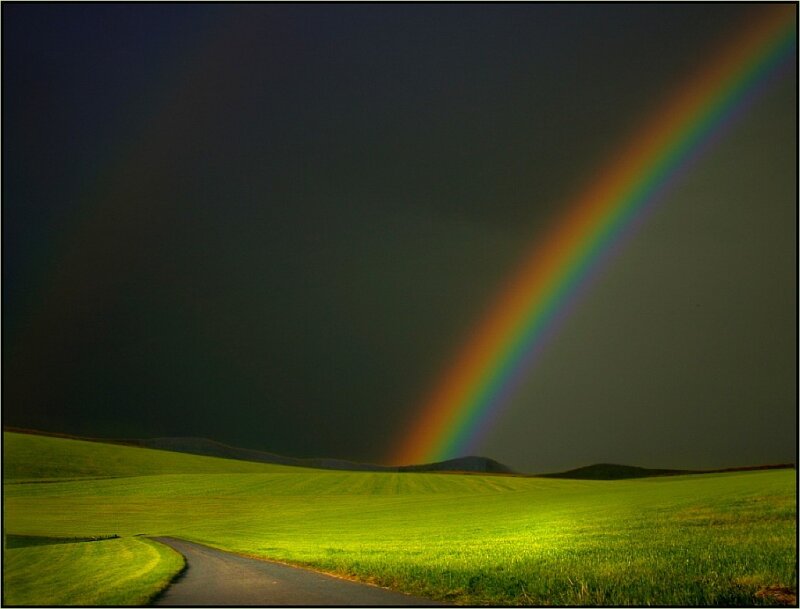 Rainbow over a green field