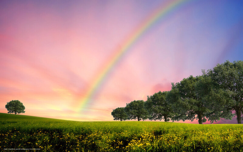 Rainbow over a green field