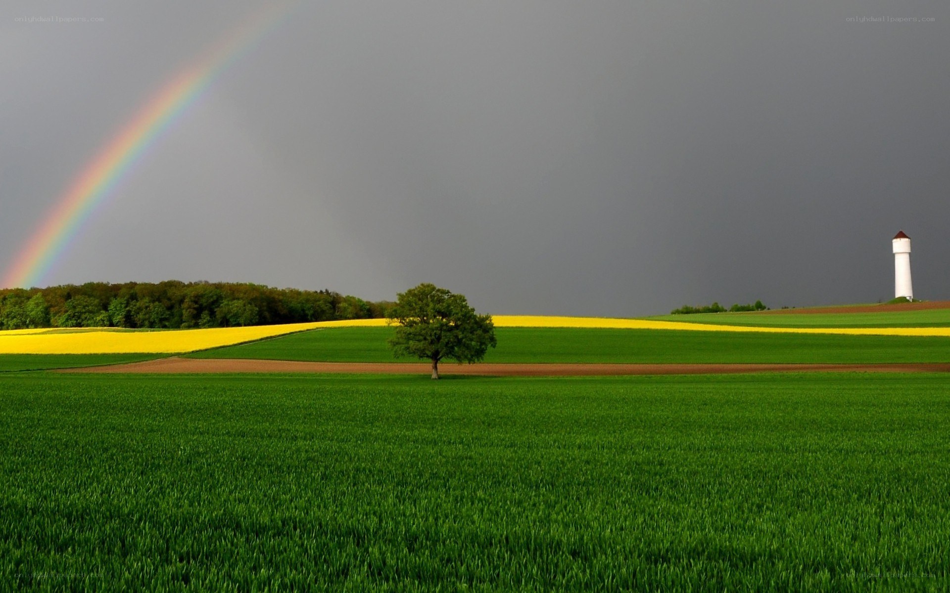 Rainbow over a green field