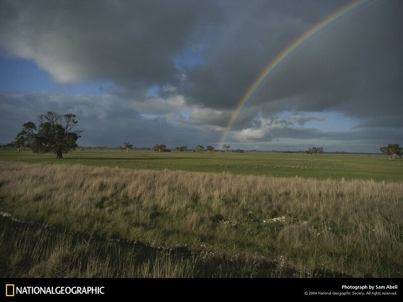 Rainbow over a green field