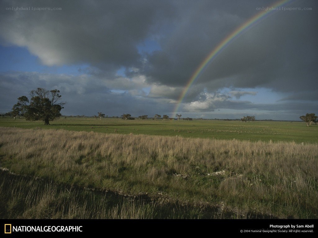 Rainbow over a green field