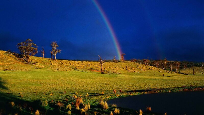 Rainbow over a green field