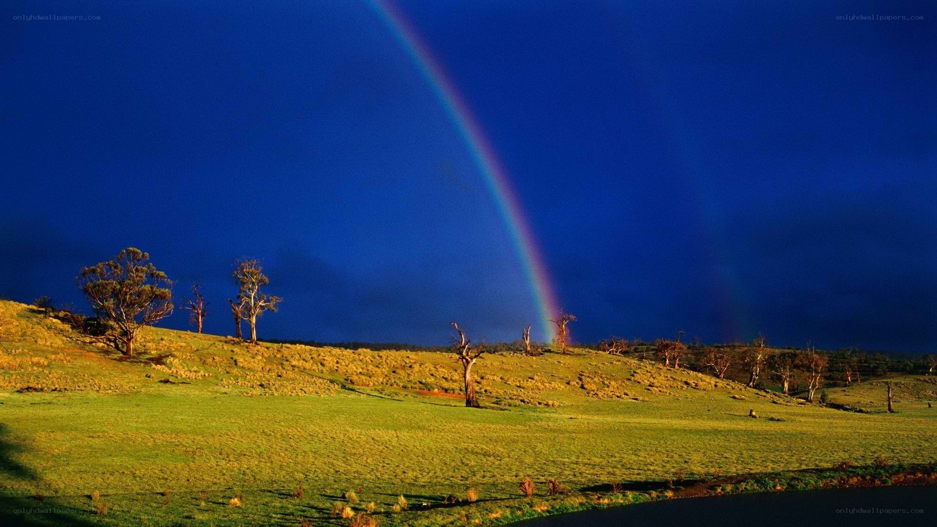 Rainbow over a green field
