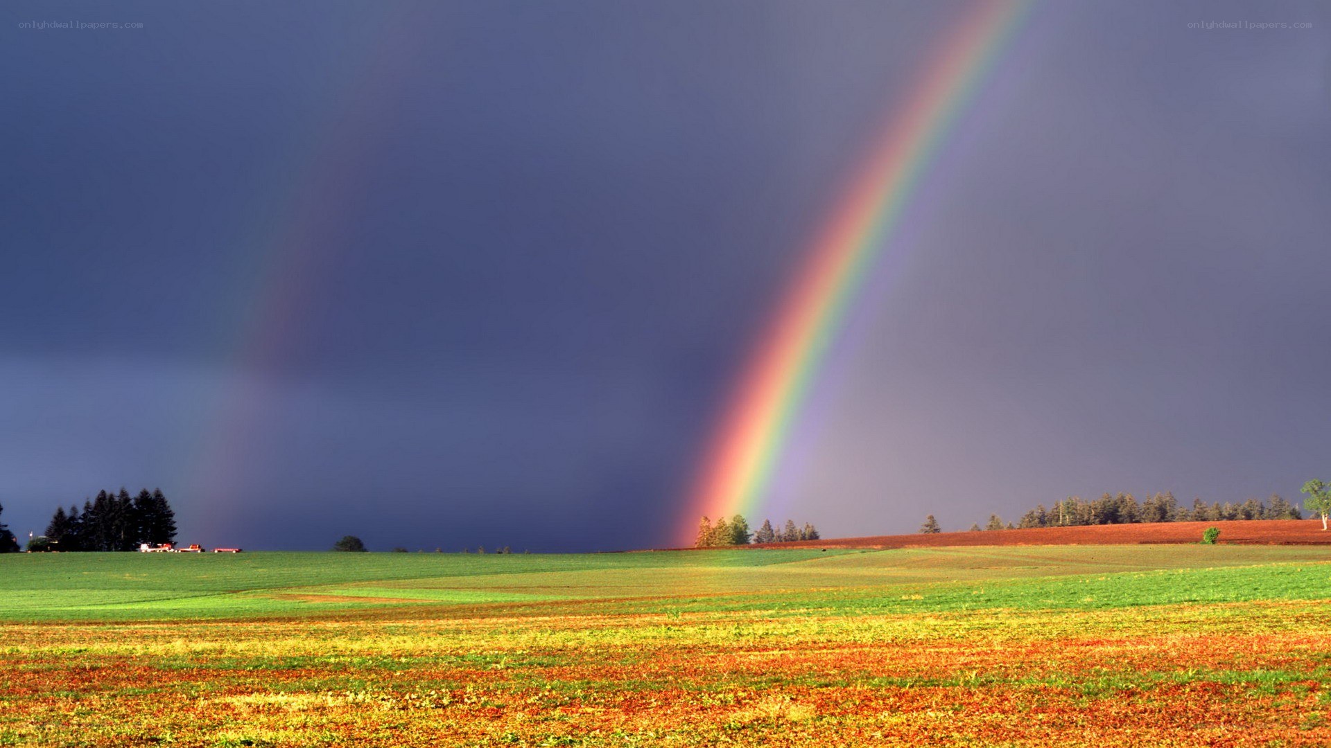 Rainbow over a green field