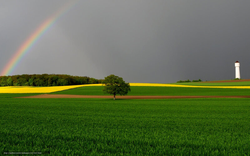 Rainbow over a green field